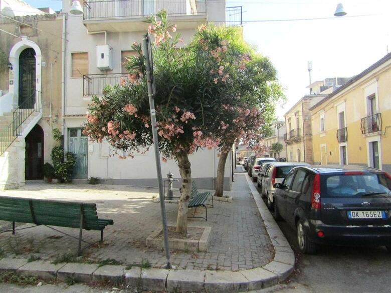 B&B Stradanuova