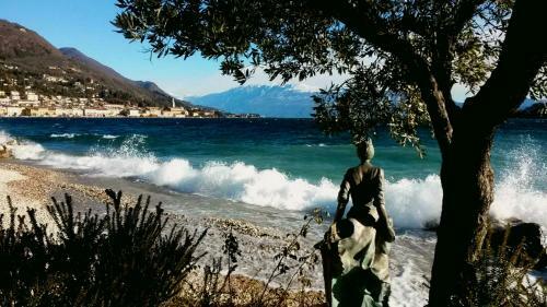B&B Sal� Novecento