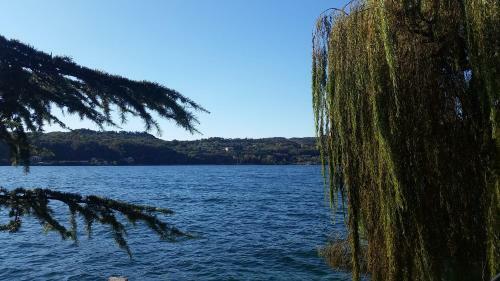 B&B Sal� Novecento