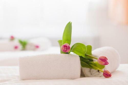 Bed & Breakfast Artemide Relais