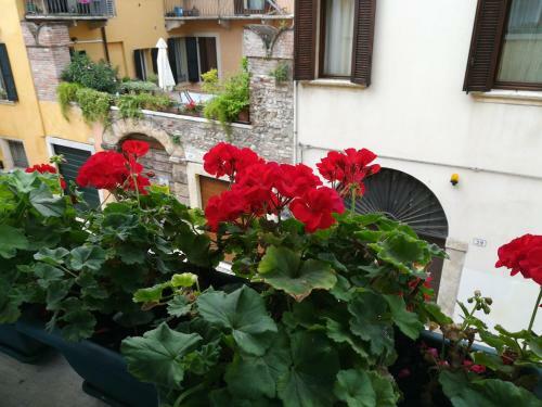 Bed & Breakfast A Casa Di Luca