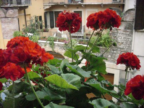 Bed & Breakfast A Casa Di Luca
