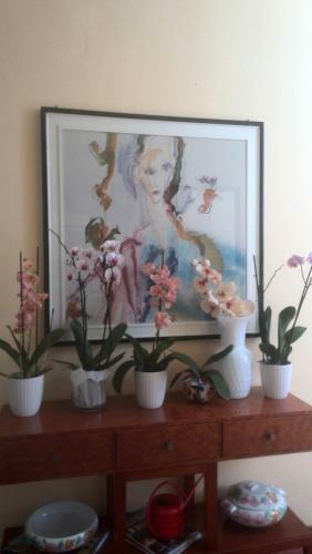 Bed & Breakfast A Casa Di Luca
