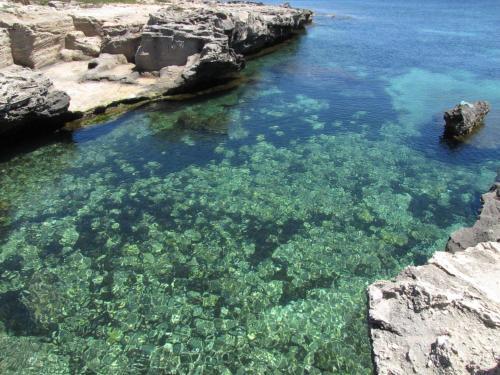 Apartamento Il Salotto