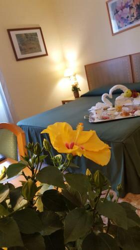 Hotel Nuovo Albergo