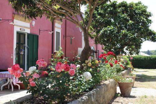 Bed & Breakfast Tenuta Santa Rosa