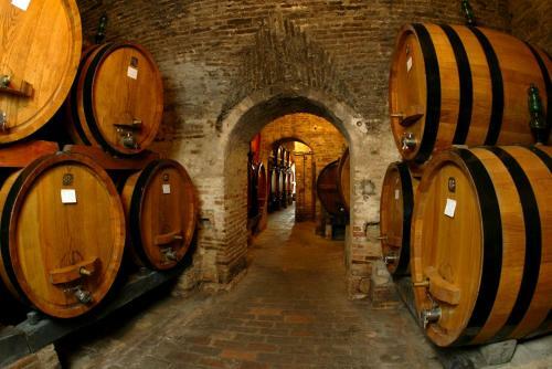 Apartamento Angolo Alla Fortezza - Gigliola Contucci