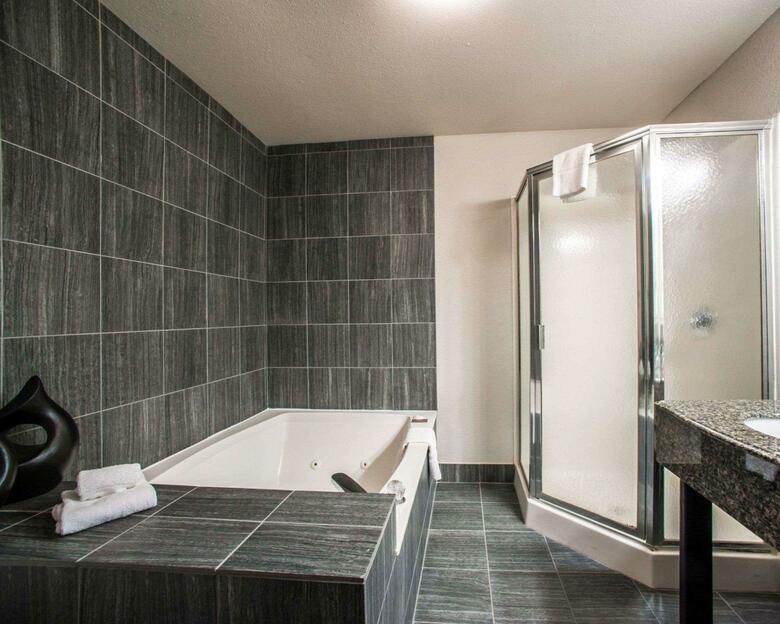 Hotel Comfort Suites Airport