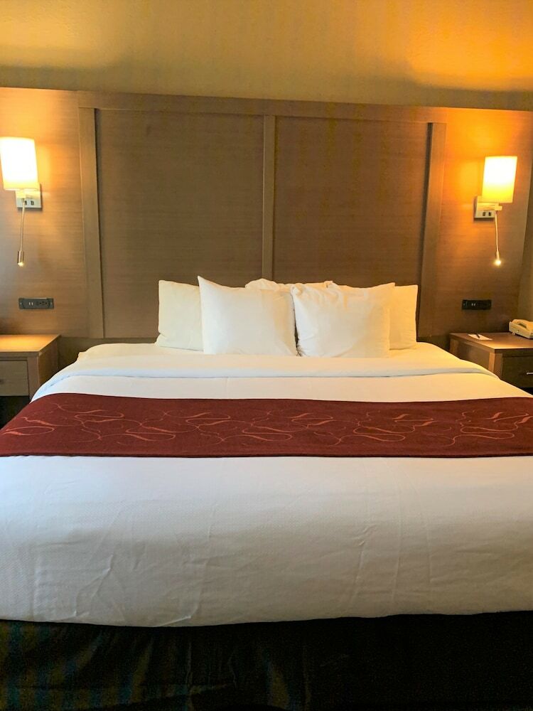 Hotel Comfort Suites Houston Bush Intercontinental