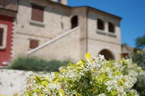 Bed & Breakfast Dimora Rosso Piceno