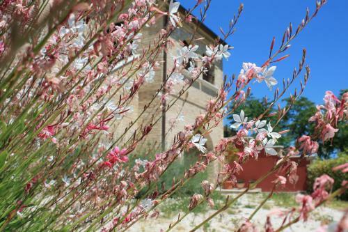 Bed & Breakfast Dimora Rosso Piceno