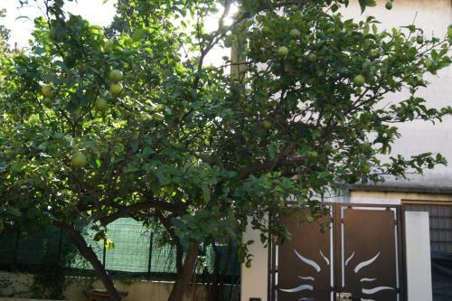 Bed & Breakfast Bramasole