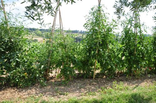 Agroturismo Il Contadino E Il Mare