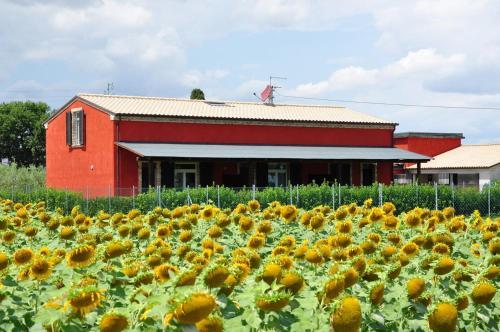 Agroturismo Il Contadino E Il Mare