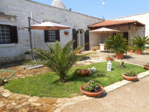 B&B La Collina Degli Ulivi
