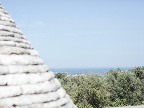 B&B La Collina Degli Ulivi