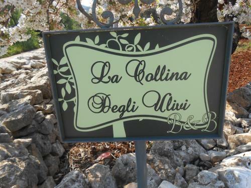 B&B La Collina Degli Ulivi