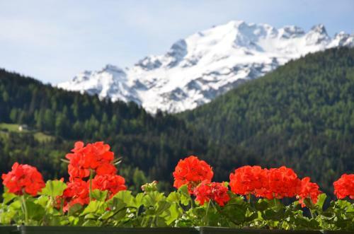 Hotel Meubl� Rosalpina