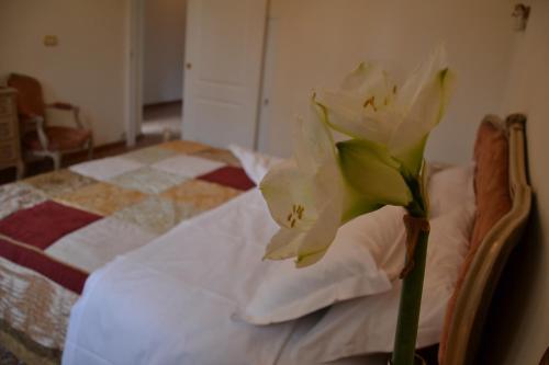 Bed & Breakfast Corte Di Venezia