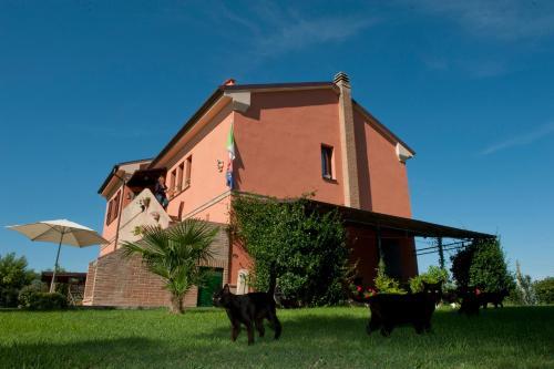 Bed & Breakfast L'erbaiuola