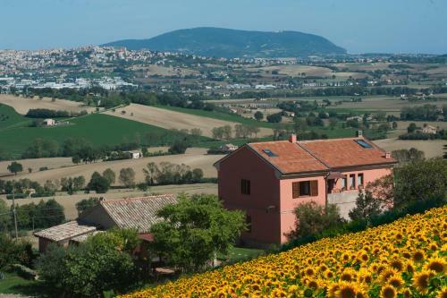 Bed & Breakfast L'erbaiuola