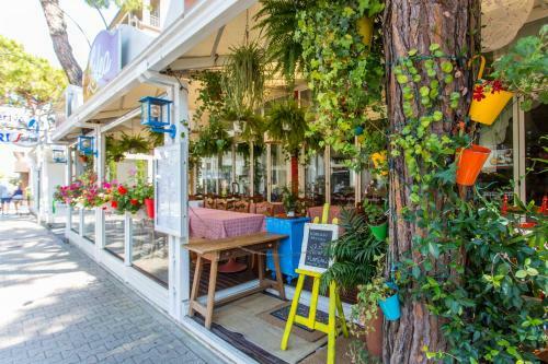 Apartamento Apollo