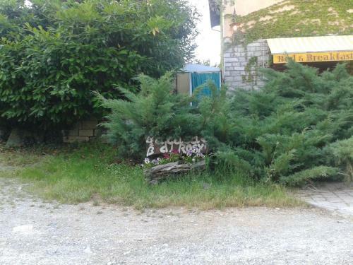 Agroturismo A Casa Di Rosy