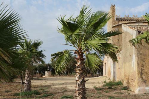 Apartamento Torre Raganella