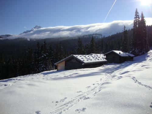 Alphotel Tyrol