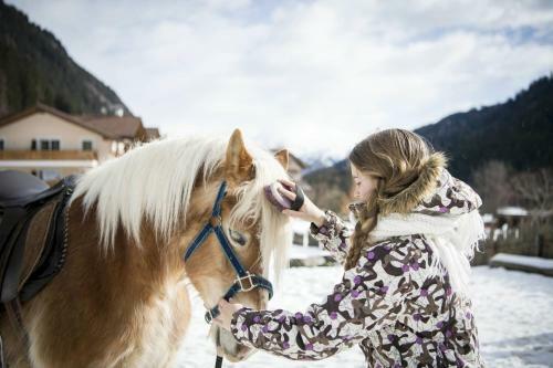 Alphotel Tyrol