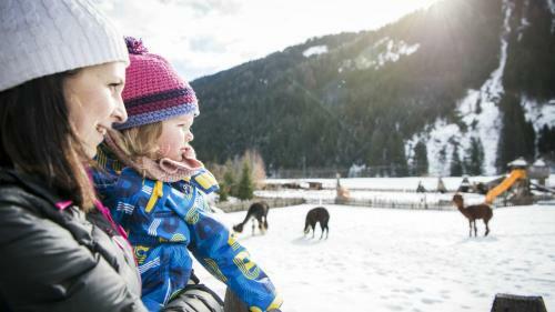 Alphotel Tyrol