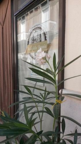 B&B Stelle Della Daunia
