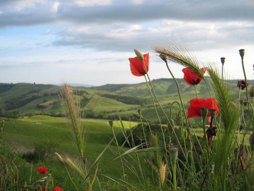 Agroturismo Certine Agriturismo