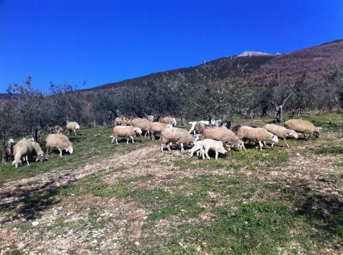 Agroturismo Le Mandrie Di San Paolo