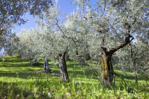 Agroturismo Le Mandrie Di San Paolo