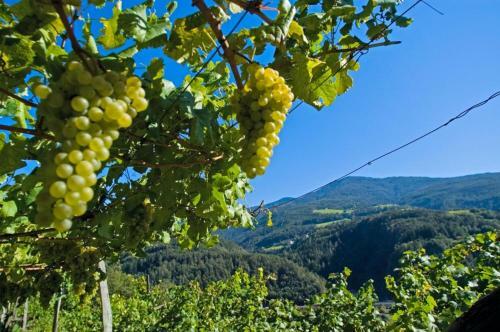 Agroturismo Brugger Hof