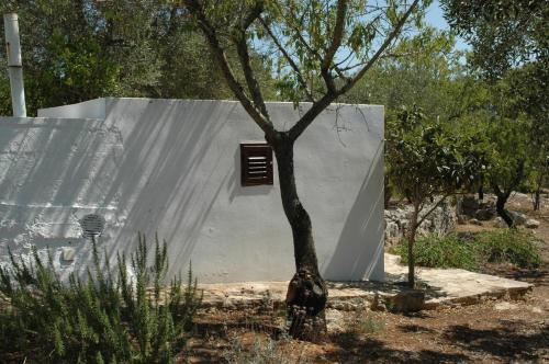 Holiday Home Casa Giuliveto