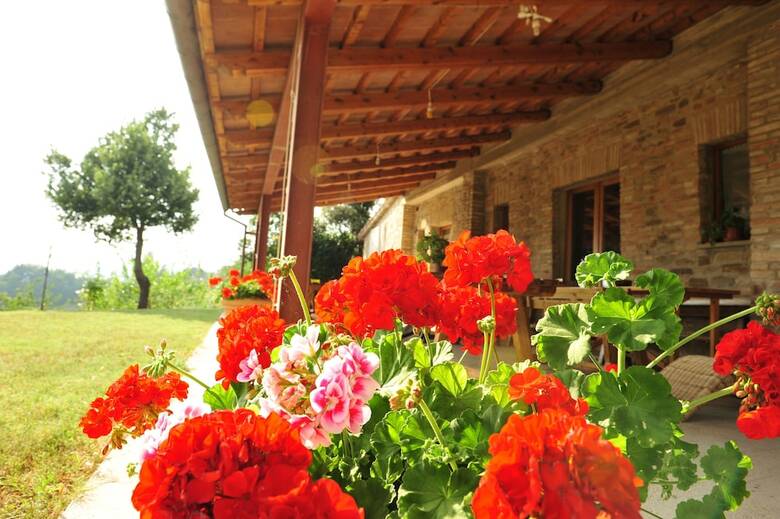 Agroturismo Agriturismo La Caputa