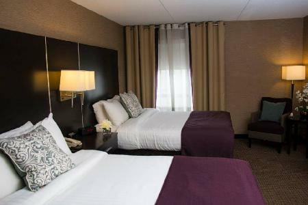 Hotel Comfort Suites And Conference Centre