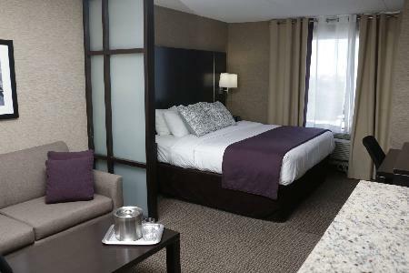 Hotel Comfort Suites And Conference Centre