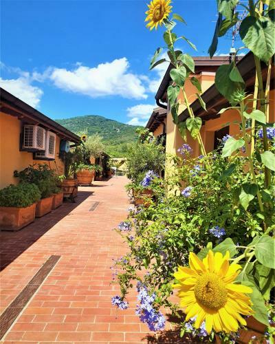 Apartamento La Terrazza Di Castiglione
