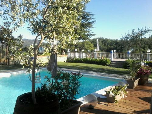 Bed & Breakfast L'oasi Nel Vigneto