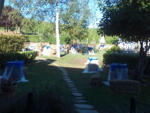 Bed & Breakfast L'oasi Nel Vigneto