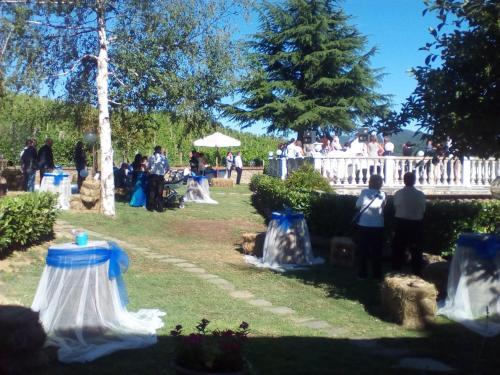 Bed & Breakfast L'oasi Nel Vigneto