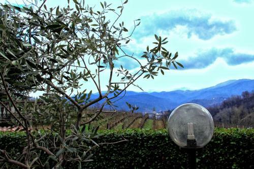 Bed & Breakfast L'oasi Nel Vigneto