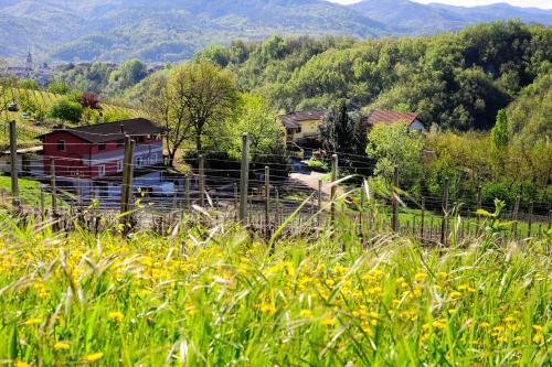 Bed & Breakfast L'oasi Nel Vigneto