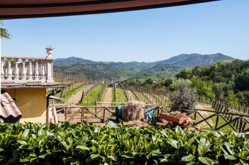 Bed & Breakfast L'oasi Nel Vigneto
