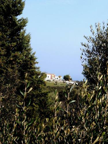 Trullo Villa Giuliana