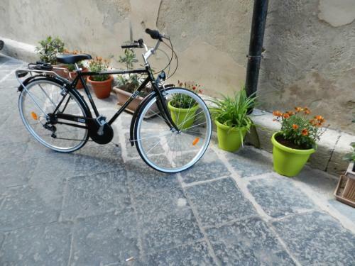 Apartamento Olimpo Residence