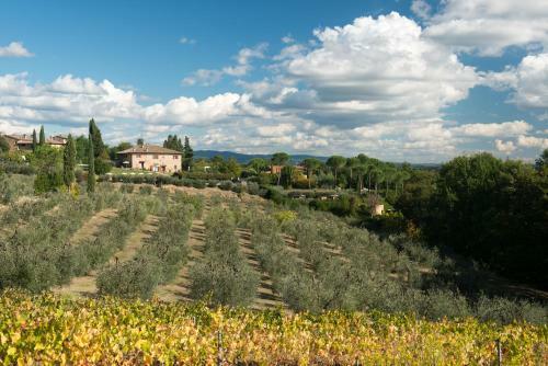 Agroturismo Il Coltro